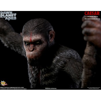 Dawn of the Planet of the Apes Regular Ceasar 1/4 Scale Statue 61 cm